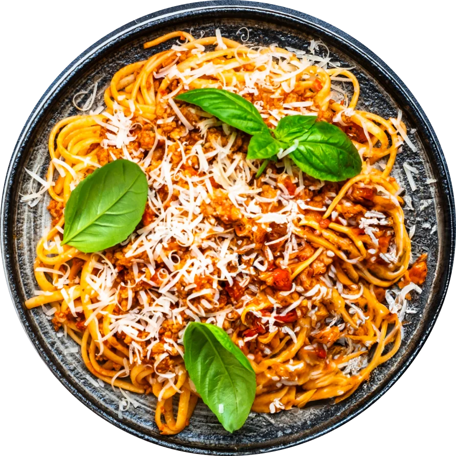 plato 1